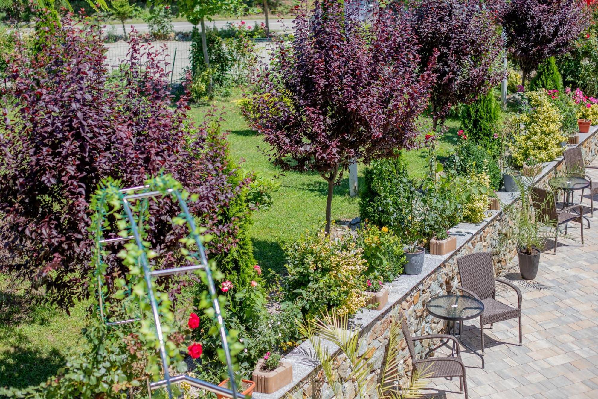 Hotel Rem Garden à Novaci-Străini Extérieur photo